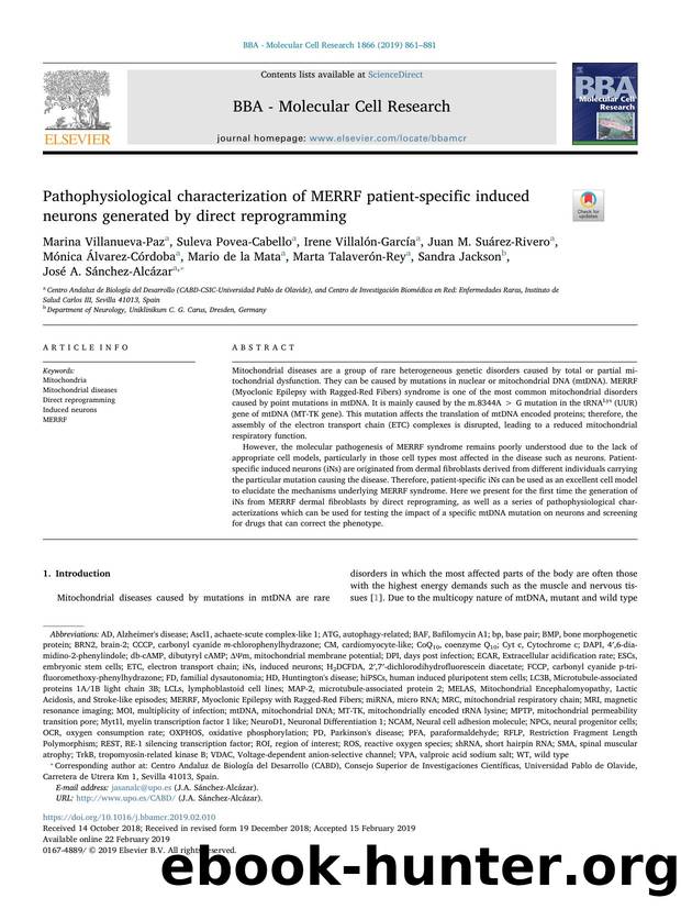Pathophysiological characterization of MERRF patient-specific induced neurons generated by direct reprogramming by unknow