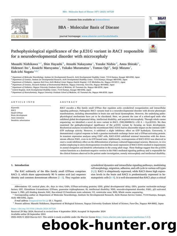 Pathophysiological significance of the p.E31G variant in RAC1 responsible for a neurodevelopmental disorder with microcephaly by unknow
