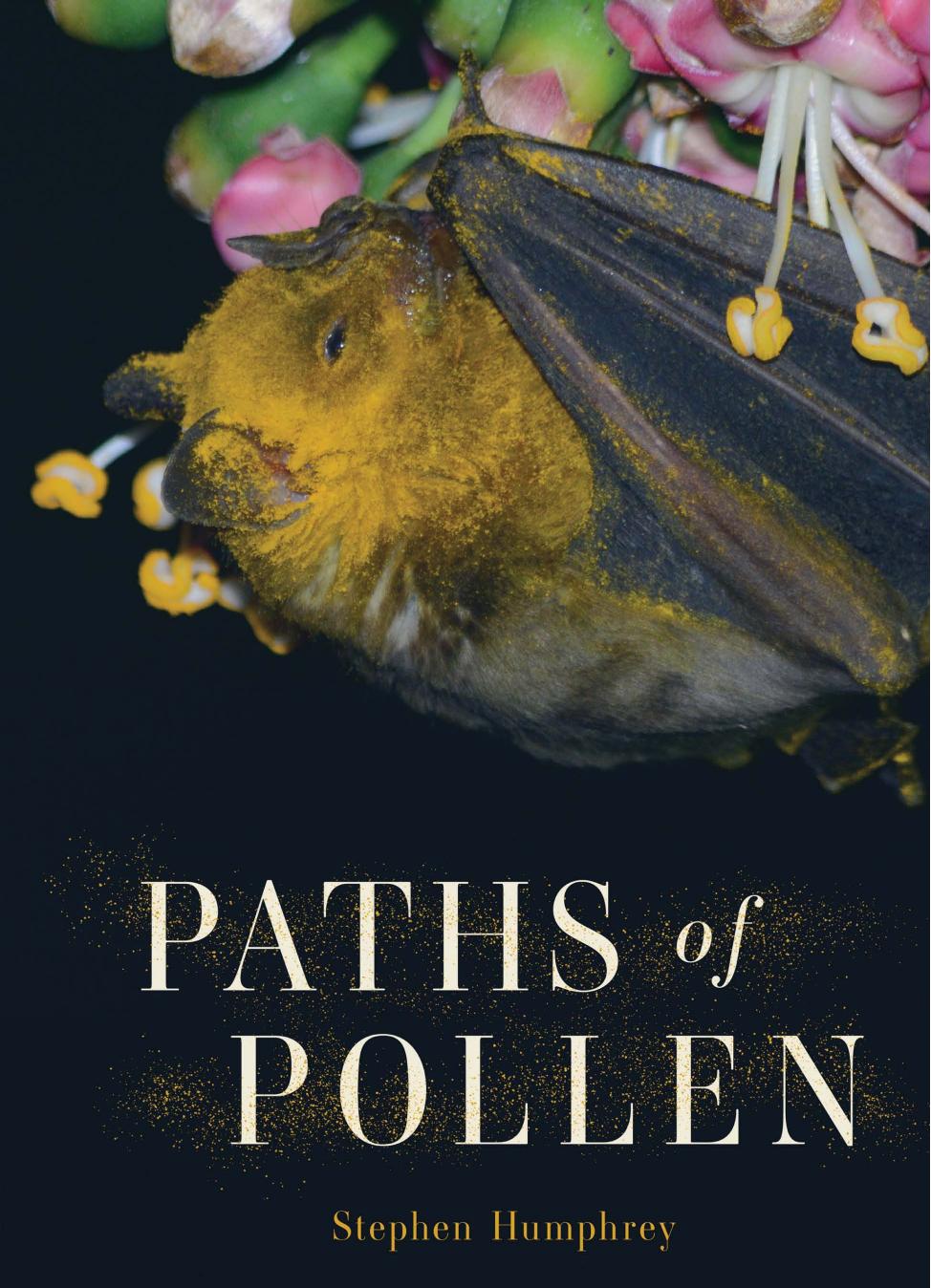 Paths of Pollen by Stephen Humphrey