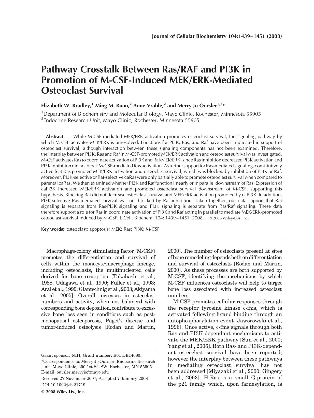 Pathway crosstalk between RasRaf and PI3K in promotion of M-CSF-induced MEKERK-mediated osteoclast survival by Unknown