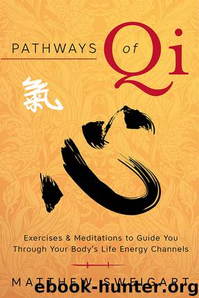 Pathways of Qi by Matthew Sweigart