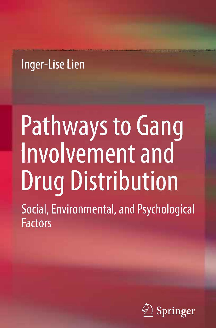 Pathways to Gang Involvement and Drug Distribution: Social, Environmental, and Psychological Factors by Inger-Lise Lien (auth.)