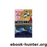 Patience of the Spider by Andrea Camilleri