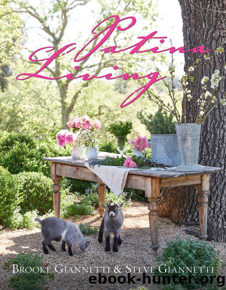 Patina Living by Brooke Giannetti