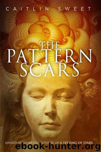 Pattern Scars by Caitlin Sweet