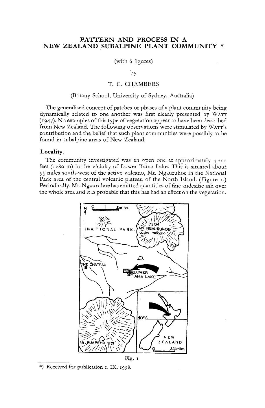 Pattern and process in a New Zealand subalpine plant community by Unknown