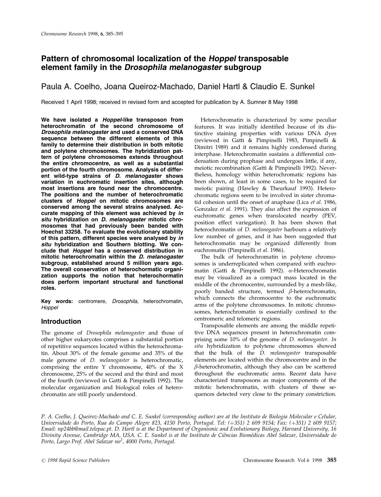 Pattern of Chromosomal Localization of the Hoppel Transposable Element Family in the Drosophila melanogaster Subgroup by Unknown