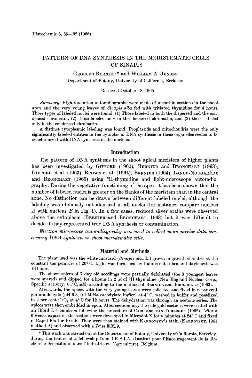 Pattern of DNA synthesis in the meristematic cells of sinapis by Unknown