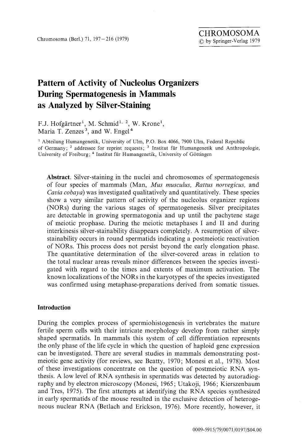 Pattern of activity of nucleolus organizers during spermatogenesis in mammals as analyzed by silver-staining by Unknown