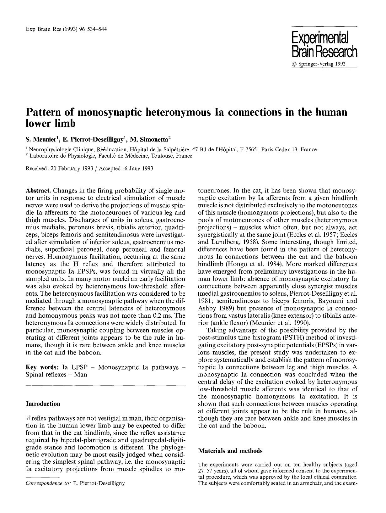 Pattern of monosynaptic heteronymous Ia connections in the human lower limb by Unknown