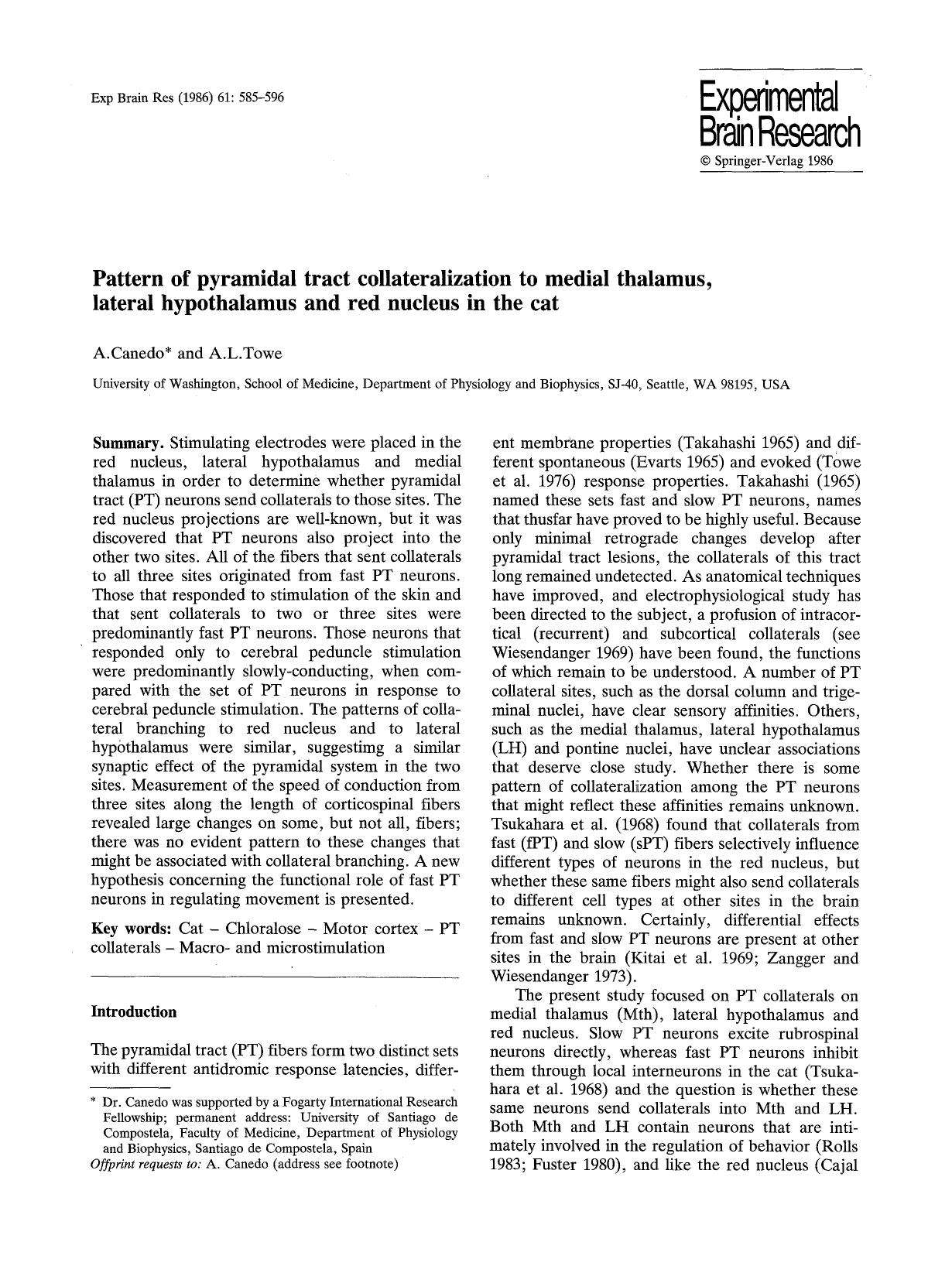 Pattern of pyramidal tract collateralization to medial thalamus, lateral hypothalamus and red nucleus in the cat by Unknown