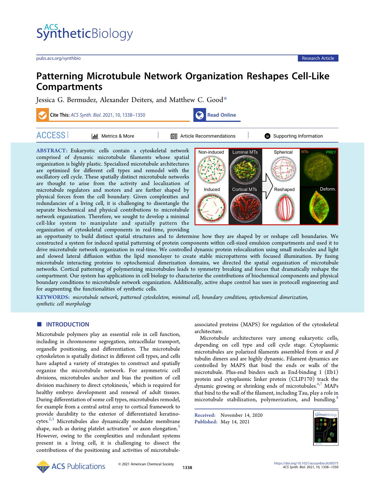 Patterning Microtubule Network Organization Reshapes Cell-Like Compartments by Jessica G. Bermudez Alexander Deiters and Matthew C. Good