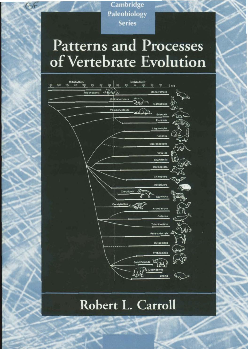 Patterns and Processes of Vertebrate Evolution (Cambridge Paleobiology Series) by Robert Lynn Carroll