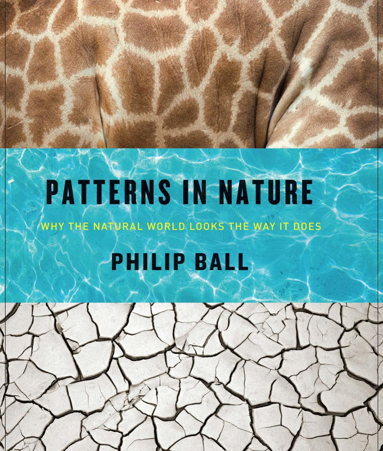 Patterns in Nature: Why the Natural World Looks the Way It Does by Philip Ball