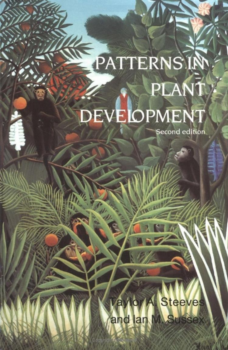 Patterns in Plant Development by Taylor A. Steeves Ian M. Sussex