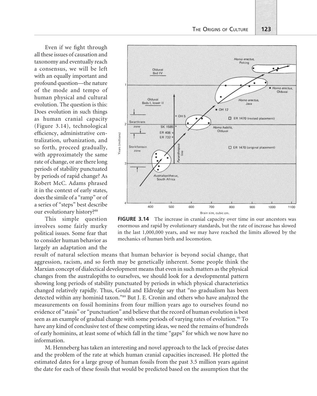 Patterns in Prehistory : Humankind's First Three Million Years by Wenke Robert J.; Olszewski Deborah