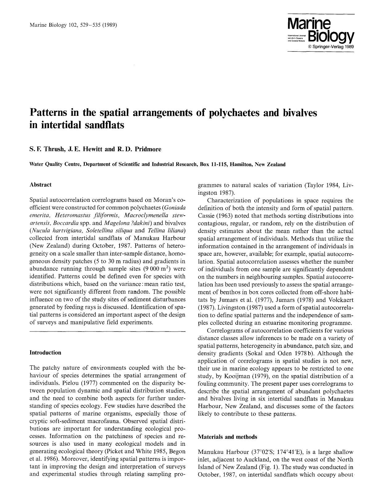 Patterns in the spatial arrangements of polychaetes and bivalves in intertidal sandflats by Unknown