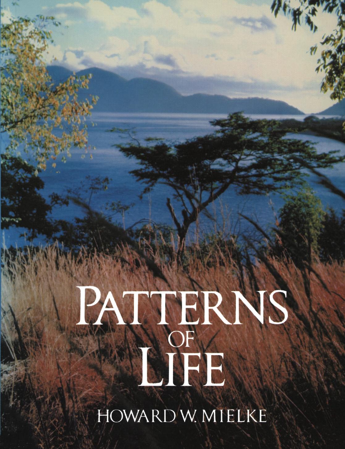Patterns of Life: Biogeography of a changing world by H. W. Mielke (auth.)