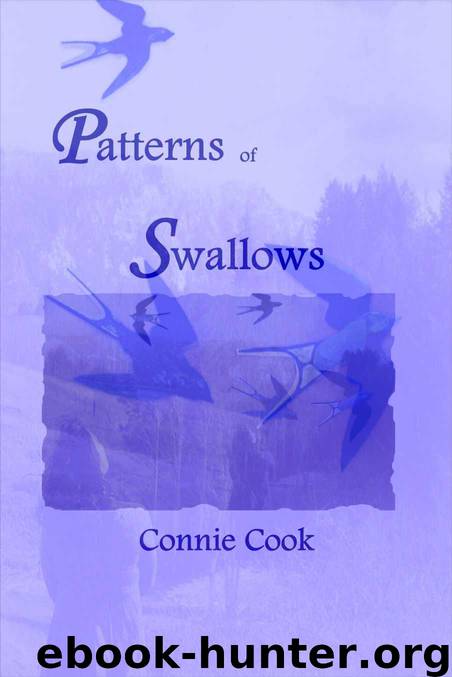 Patterns of Swallows by Connie Cook