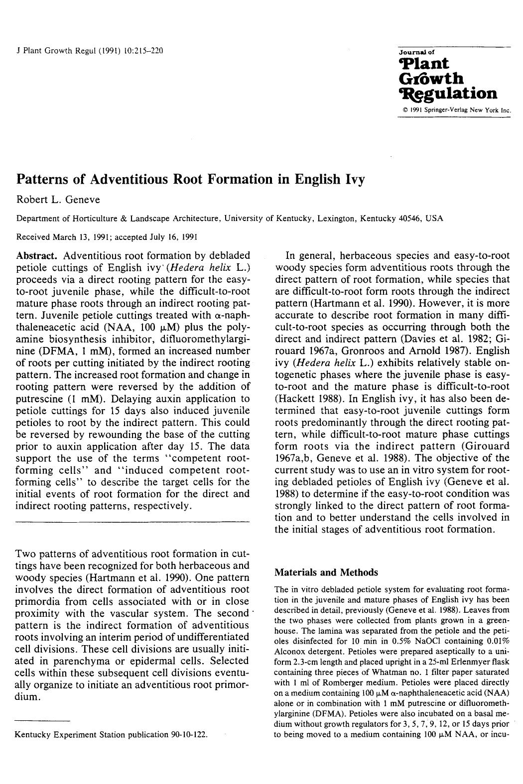 Patterns of adventitious root formation in English ivy by Unknown