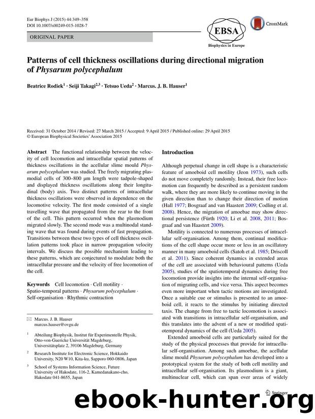 Patterns of cell thickness oscillations during directional migration of Physarum polycephalum by Beatrice Rodiek & Seiji Takagi & Tetsuo Ueda & Marcus. J. B. Hauser