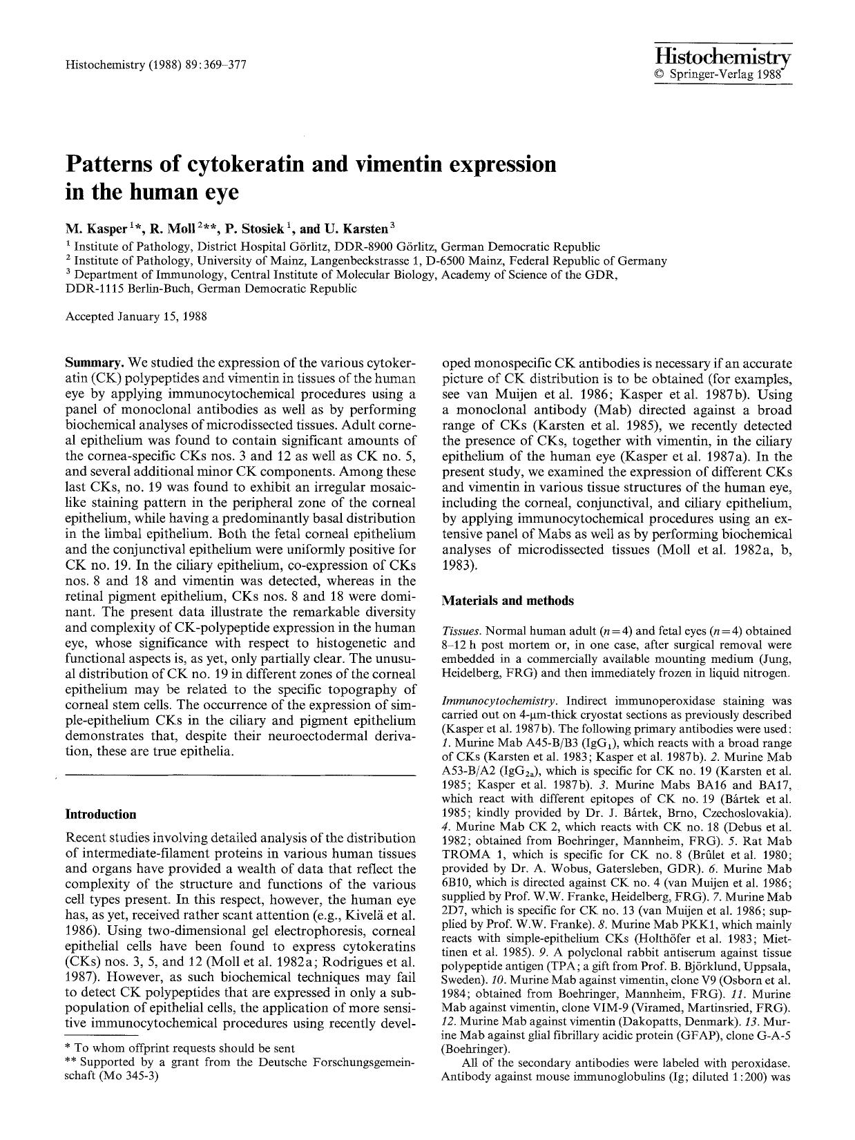 Patterns of cytokeratin and vimentin expression in the human eye by Unknown