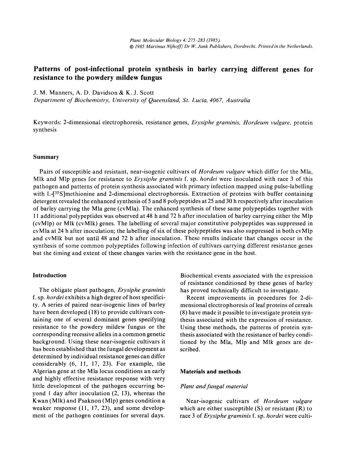 Patterns of post-infectional protein synthesis in barley carrying different genes for resistance to the powdery mildew fungus by Unknown