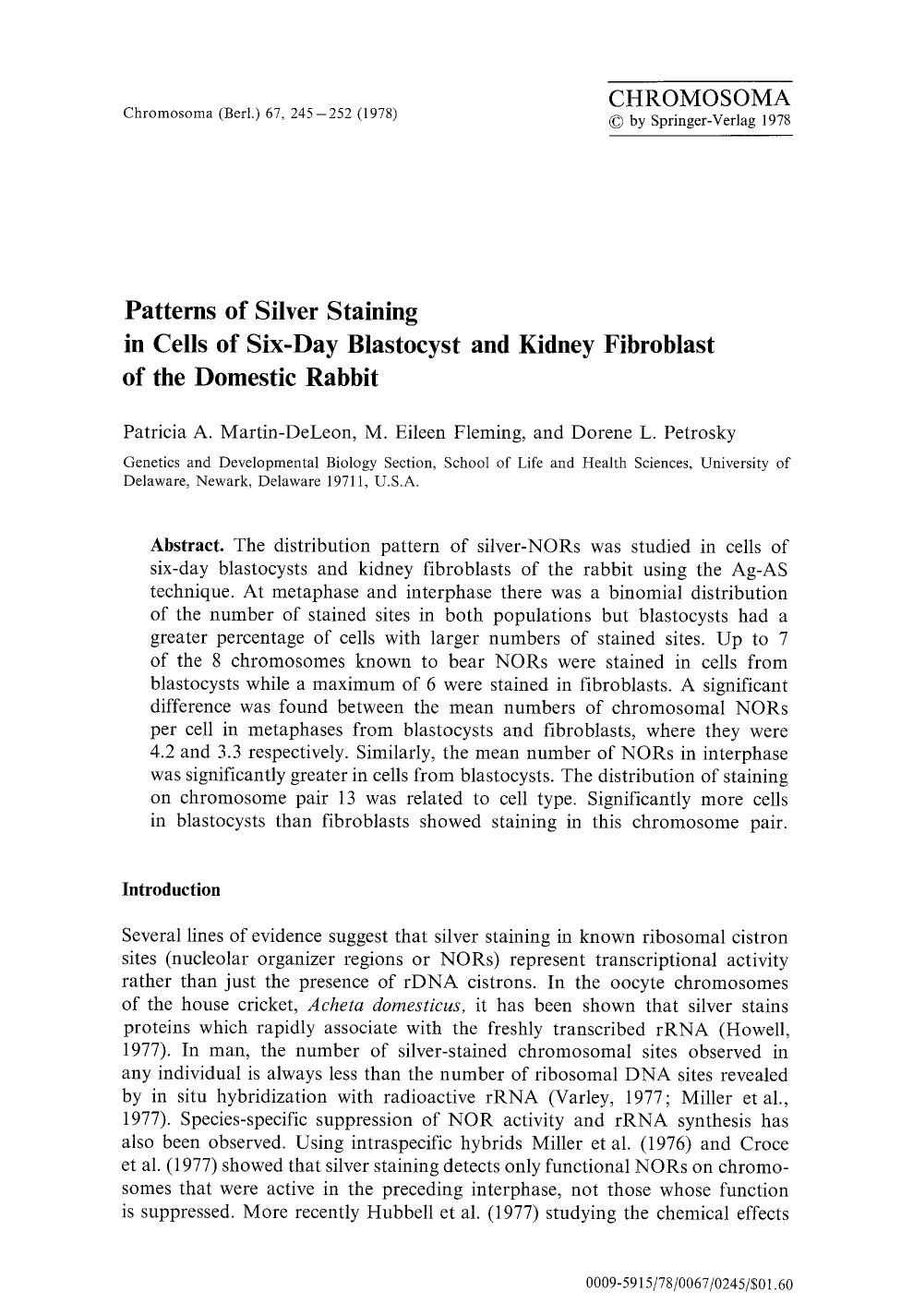 Patterns of silver staining in cells of six-day blastocyst and kidney fibroblast of the domestic rabbit by Unknown