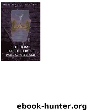 Paul O. Williams - Pelbar 03 by The Dome in the Forest