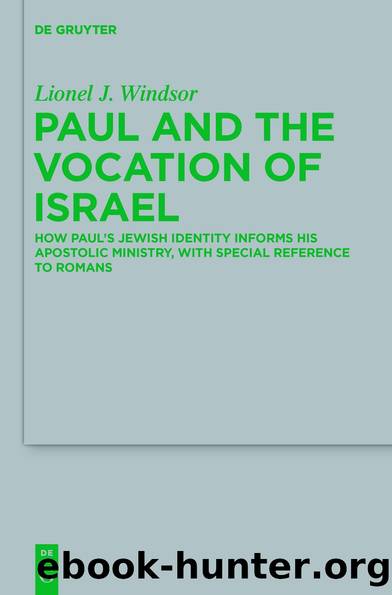 Paul and the Vocation of Israel by Lionel J. Windsor