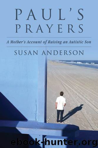 Paul's Prayers by Susan Anderson