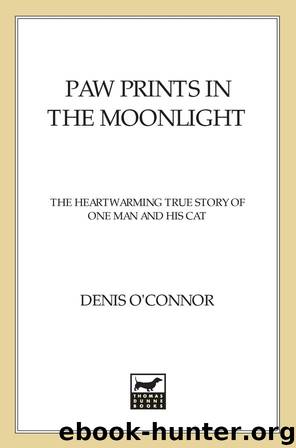Paw Prints in the Moonlight by Denis O'Connor