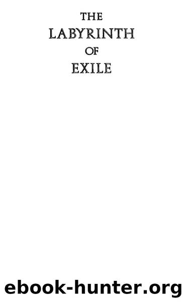 Pawel, Ernst - The Labyrinth of Exile  A Life of Theodor Herzl by Farrar Straus & Giroux (1992)
