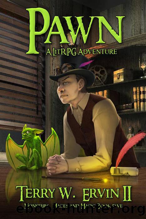 Pawn- a LitRPG Adventure by Terry W. Ervin II