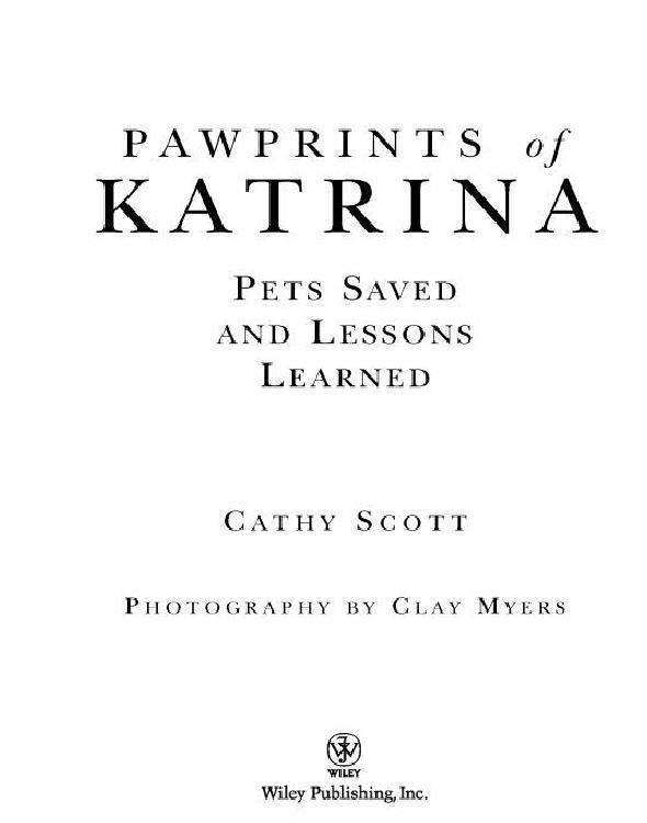Pawprints of Katrina by Cathy Scott
