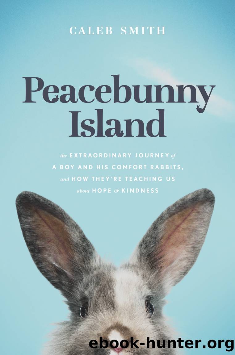 Peacebunny Island by Caleb Smith