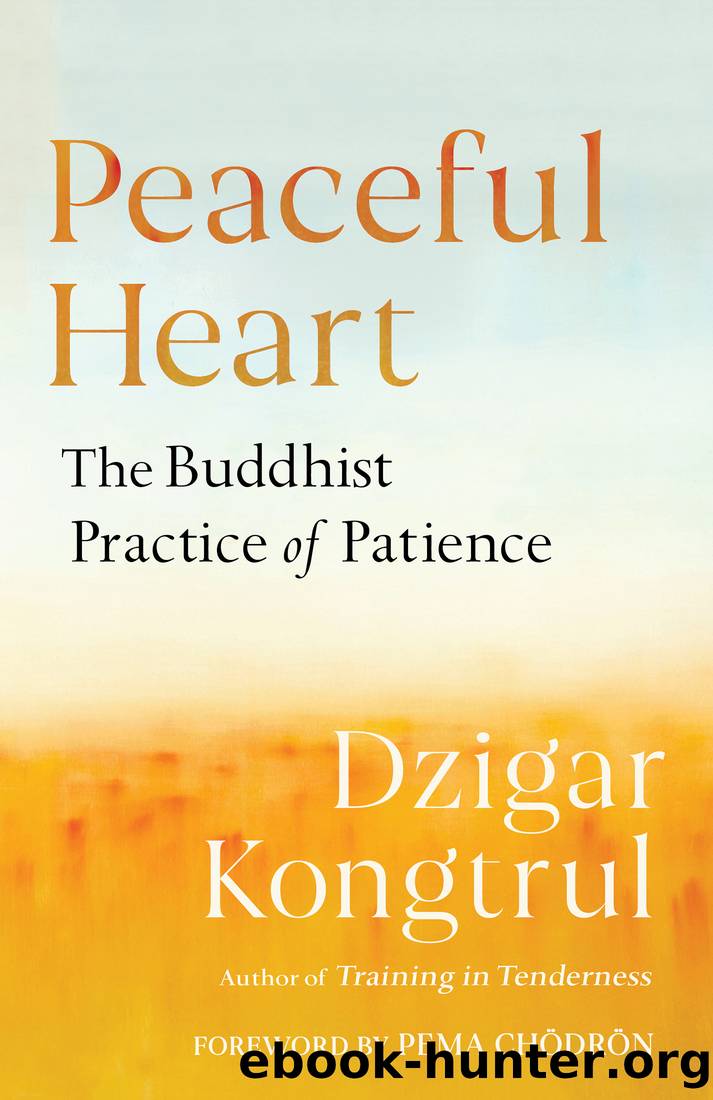 Peaceful Heart by Dzigar Kongtrul