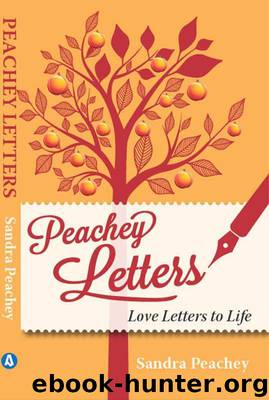 Peachey Letters by Sandra Peachey