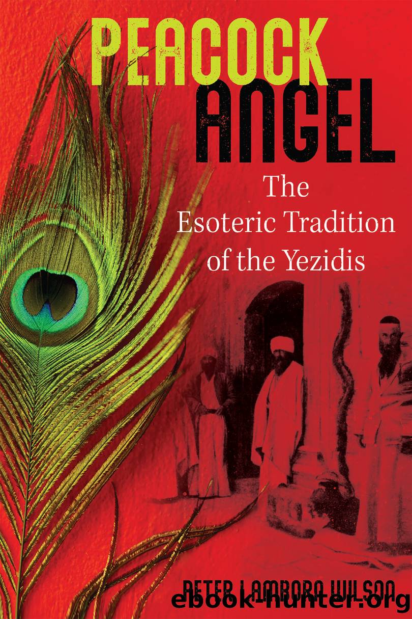 Peacock Angel by Peter Lamborn Wilson