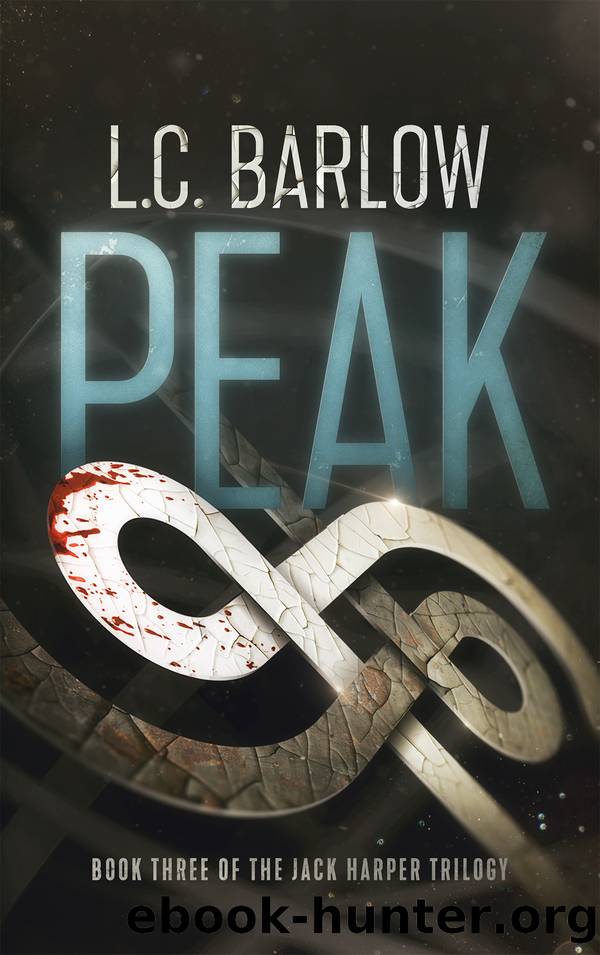 Peak by L. C. Barlow