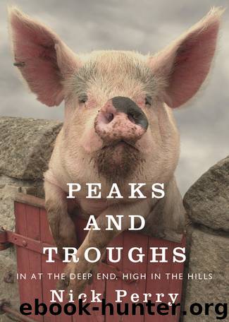 Peaks and Troughs by Nick Perry