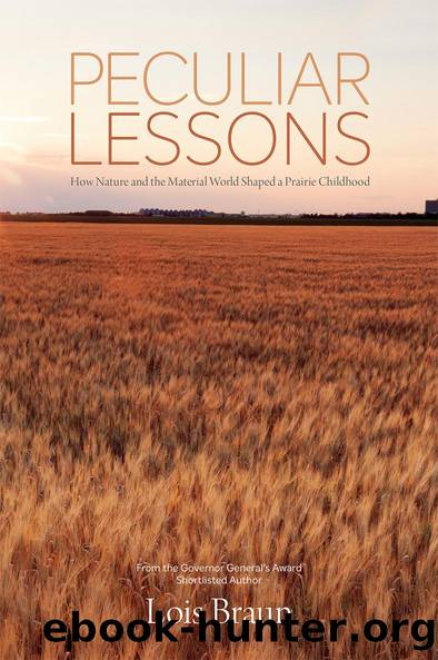 Peculiar Lessons by Lois Braun