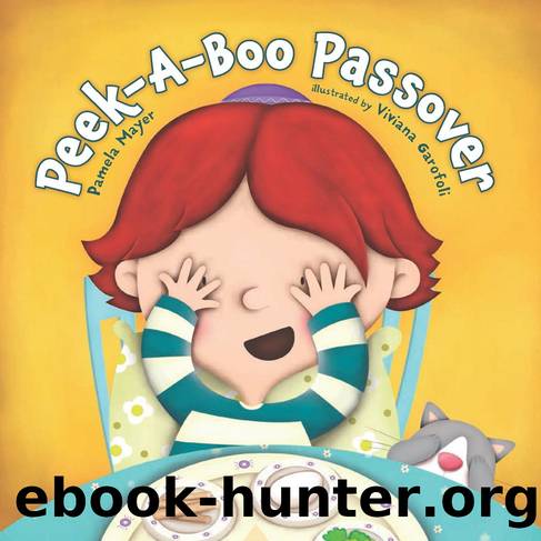 Peek-A-Boo Passover by Pamela Mayer