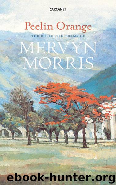 Peelin Orange by Morris Mervyn;