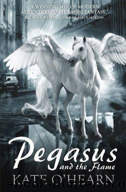 Pegasus 1 - Pegasus and the flame by O'Hearn Kate