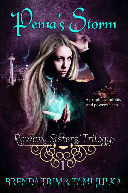 Pema's Storm: Rowan Sisters' Trilogy Book 1 by Brenda Trim & Tami Julka & Amanda Fitzpatrick