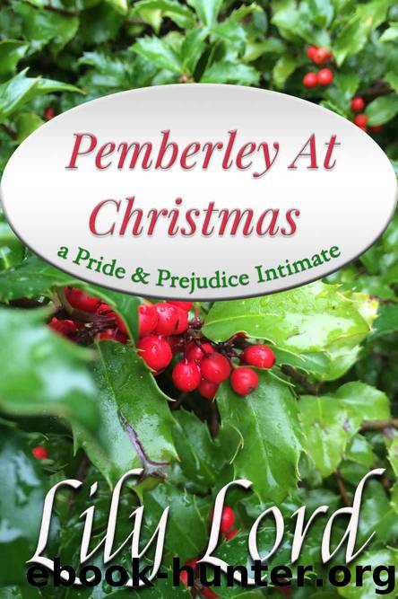 Pemberley at Christmas by Lily Lord
