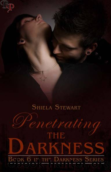 Penetrating The Darkness by Shiela Stewart