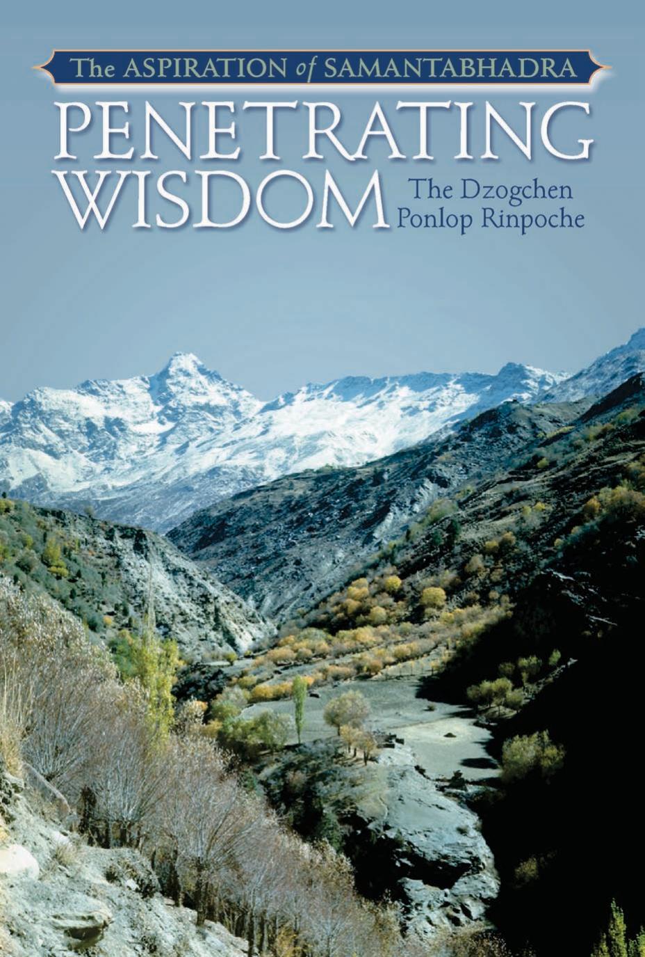 Penetrating Wisdom: The Aspiration of Samantabhadra by Dzogchen Ponlop Rinpoche