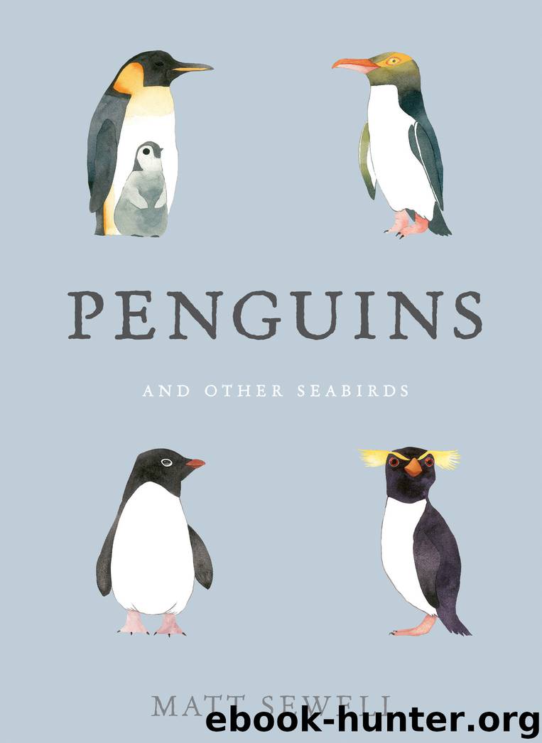 Penguins and Other Seabirds by Matt Sewell